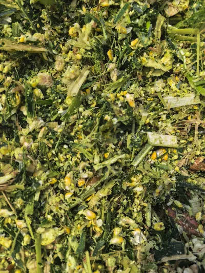 Milyen fő erősségei teszik a Yiman Agriculture-t ideális beszállítójává a savanyú káposzta tömeges importprojektjeihez?
