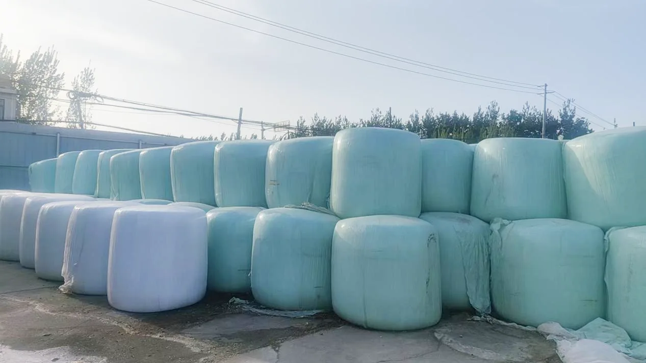 Air Tight Baled Corn Silage