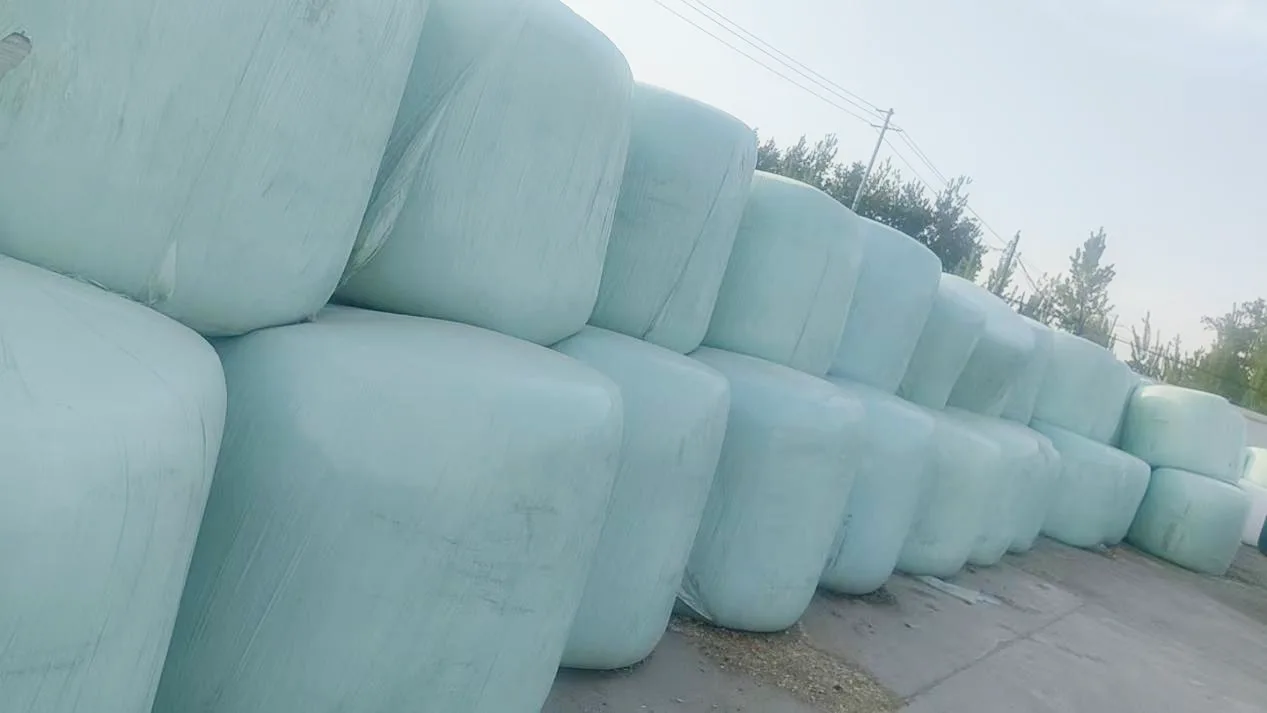 Farm Grade Baled Corn Silage
