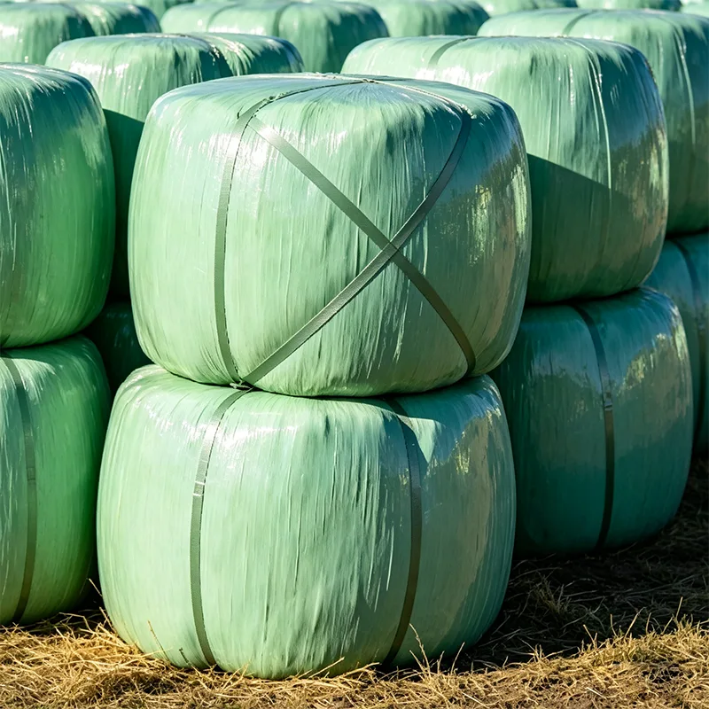 UV Protected Baled Corn Silage